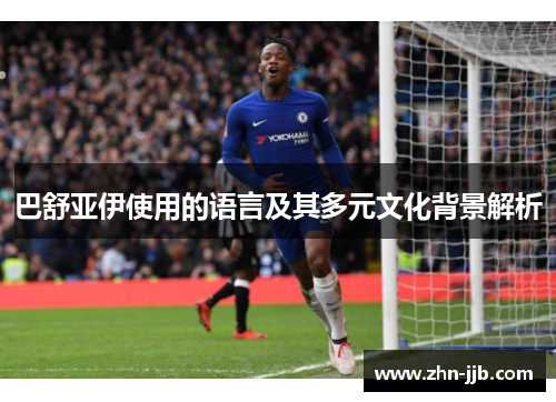 巴舒亚伊使用的语言及其多元文化背景解析